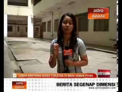 Usaha banteras Aedes terletak di bahu semua pihak