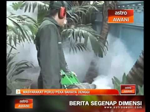 Masyarakat perlu peka bahaya denggi