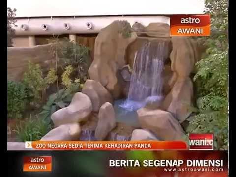 Zoo Negara sedia terima kehadiran panda