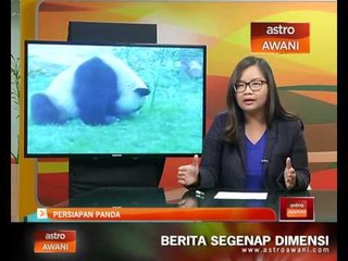 Persiapan Panda ke Malaysia