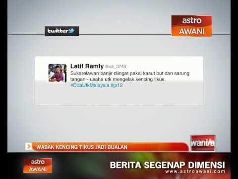 Wabak kencing tikus jadi bualan