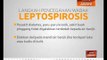 Langkah pencegahan wabak leptospirosis