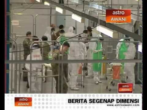 Sukarelawan dilatih tangani ebola di Sierra Leone