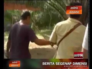 Laga ayam dan judi haram di ladang sawit