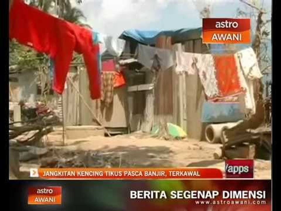 Jangkitan kencing tikus pasca banjir, terkawal