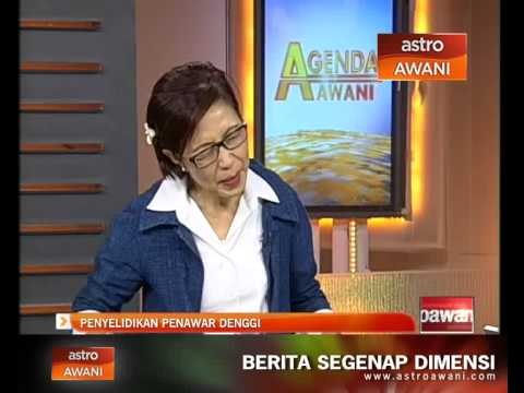Agenda Awani: Penyelidikan penawar denggi