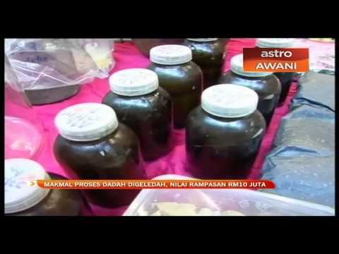 Makmal proses dadah digeledah, nilai rampasan RM10 juta