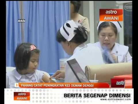 Pahang catat peningkatan kes demam denggi