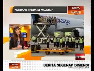 Ketibaan panda di Malaysia