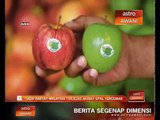 Tiada rakyat malaysia terjejas akibat epal tercemar