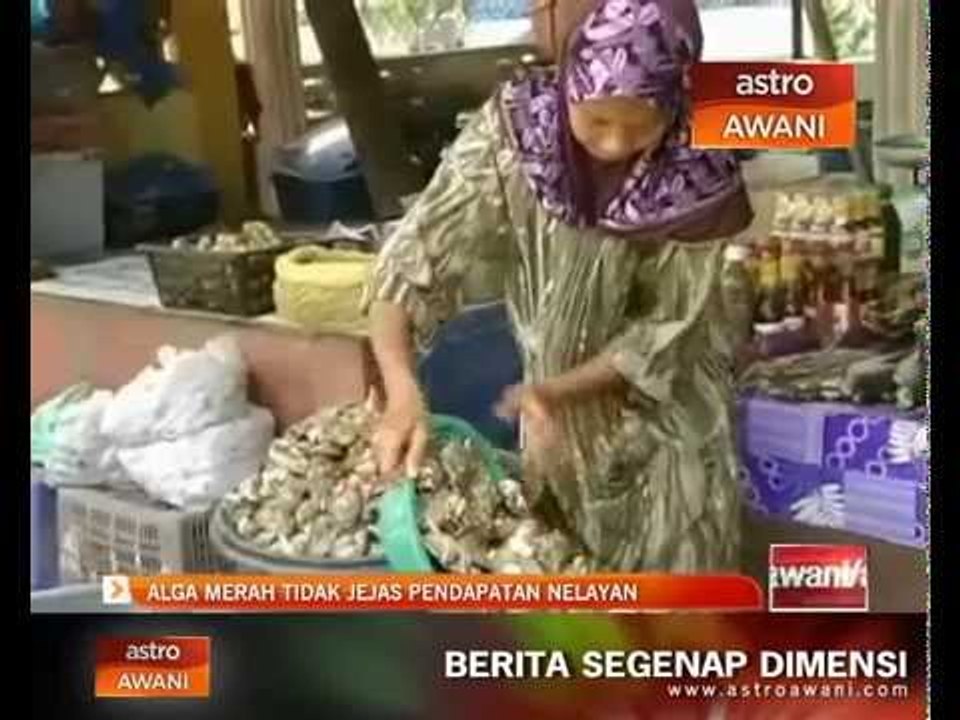 Alga merah tidak jejas pendapatan nelayan