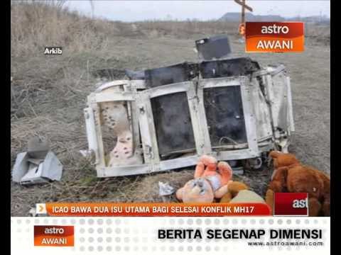 ICAO bawa dua isu utama bagi selesai konflik MH17