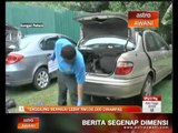 Tenggiling bernilai lebih RM100,000 dirampas