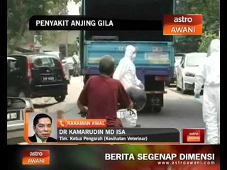 DVS sediakan vaksin anti-rabies secara percuma