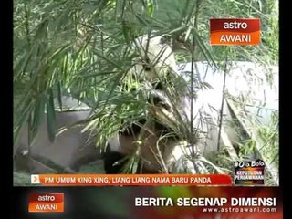 PM umum nama baru pasangan panda