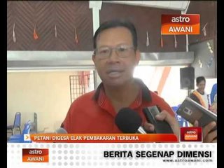 Download Video: Petani digesa elak pembakaran terbuka