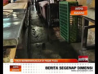 Tikus bermaharajalela di Pasar Pudu