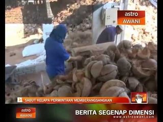 Sabut kelapa permintaan memberangsangkan