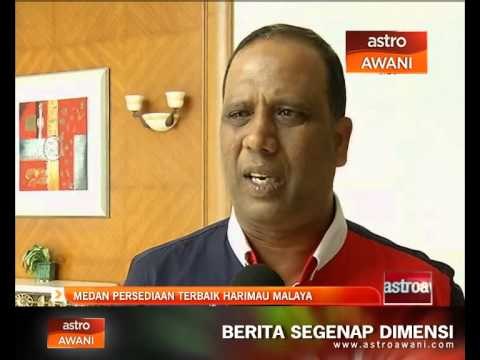 Medan persediaan terbaik Harimau Malaya