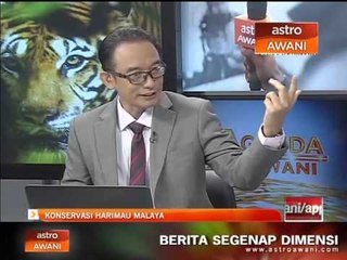 Konservasi Harimau Malaya