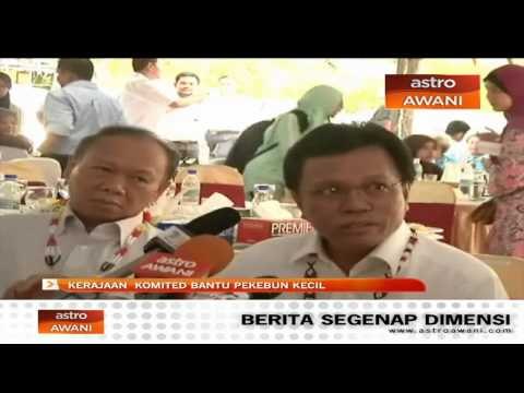Kerajaan komited bantu pekebun kecil