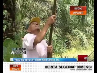 Palm oil gets lift from zero export tax