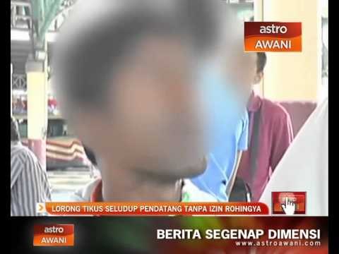 Lorong tikus seludup pandatang tanpa izin Rohingya