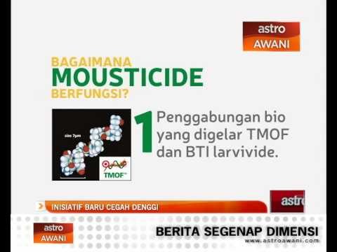 Inisiatif baru cegah denggi
