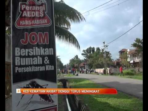 Kes kematian akibat denggi terus meningkat