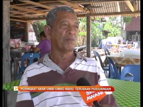 Peringkat akar umbi UMNO mahu terus perjuangan