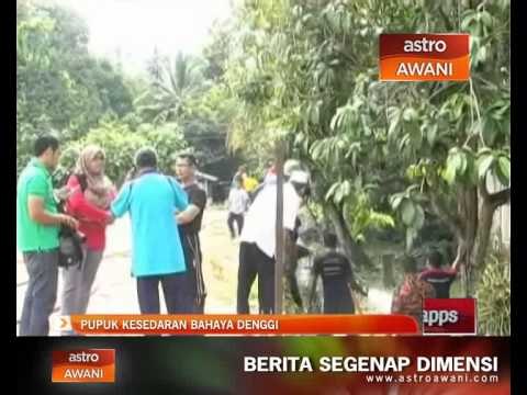 Pupuk kesedaran bahaya denggi