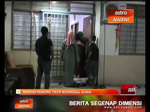 Mangsa kencing tikus meninggal dunia