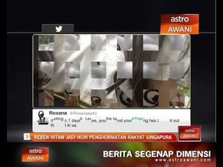 Reben hitam jadi ikon penghormatan rakyat Singapura