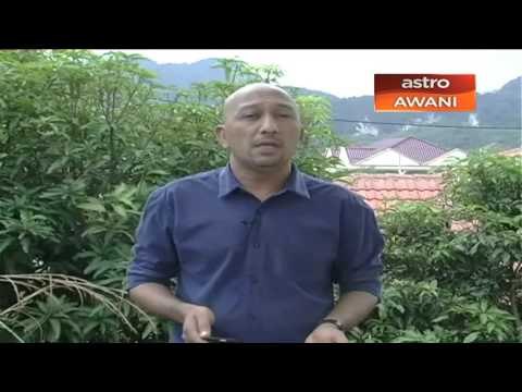 Dua pelajar Orang Asli SK Pos Tohoi yang hilang ditemui selamat