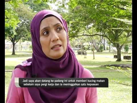 Wira AWANI: Usaha murni wira kucing