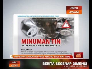 Download Video: Info bahaya jangkitan virus kencing tikus kini viral