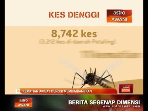 Kematian akibat denggi membimbangkan