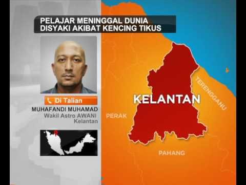 Pelajar meninggal dunia disyaki akibat kencing tikus