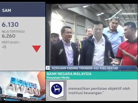 Kerajaan cadang tanaman 400 ribu hektar