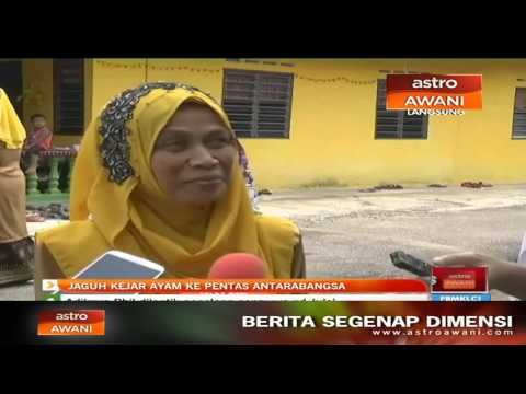 Kejar ayam latihan sebelum jadi 'legend'