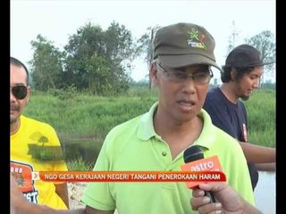 NGO gesa kerajaan negeri tangani penerokaan haram