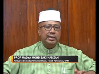 Pengurusan lestari hutan simpan kekal