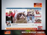 Kucing jana pendapatan hampir RM350 juta secara Online