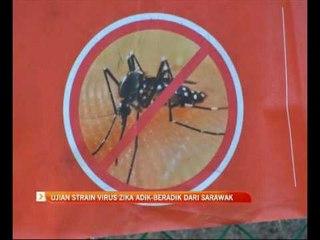 Ujian strain virus zika adik-beradik dari Sarawak