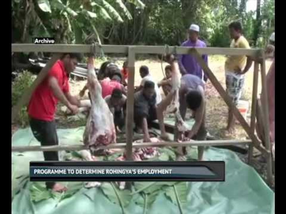 Programme to place Rohingya in jobs