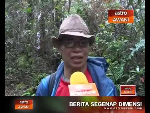 Reaksi pendaki selepas pasca gempa bumi