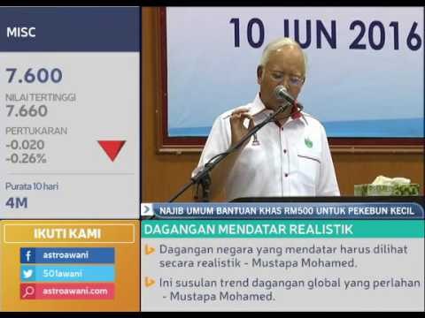 Najib umum bantuan khas RM500 untuk pekebun kecil