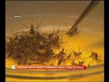 Beberapa kawasan rekod indeks pembiakan aedes tinggi di Perlis