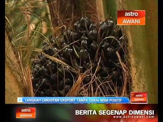 Langkah lanjutan eksport tanpa cukai MSM positif