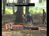 Lokasi Perlis antara sebab peningkatan penagih dadah
